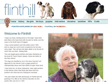Tablet Screenshot of flinthill.org.uk